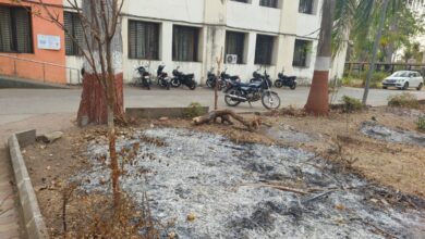 Photo of વઘઈ તાલુકા સેવા સદન કચેરીના ગ્રાઉન્ડમાં કચરાનાં ઢગલાઓ બાળવાના સામે આવ્યા દ્રશ્યો