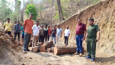 Photo of વઘઈ રેન્જના વનકર્મીઓએ તસ્કરોને હંફાવ્યા: