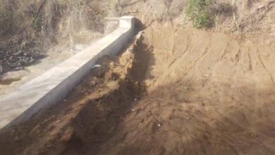 Photo of ડાંગમાં વાડજ ચીભડા ગળી ગઈ તેવો સામે આવ્યો કિસ્સો: