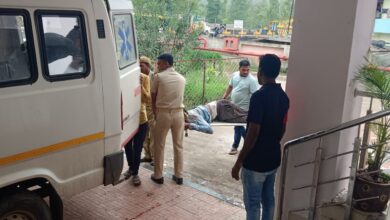 Photo of સાપુતારા માલેગામના ઘાટમાં લક્ઝરી બસ ખીણમાં ખાબકી,ઘટના સ્થળે બે બાળકોના મોત