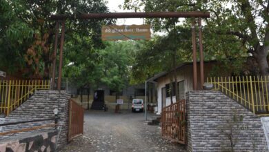 Photo of સહ્યાદ્રિની ગોદમા, પ્રકૃત્તિની નિરવ શાંતિનો અહેસાસ :