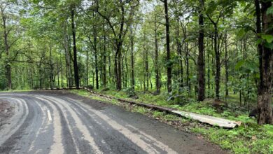 Photo of આંબાપાડાથી ગુંદવહળ સુધીના રસ્તાની સાઈટે આવેલ લોખંડની સંરક્ષણ સી-ચેનલની ચોરી થઈ