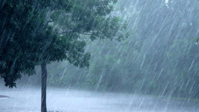 Photo of ડાંગ જિલ્લામાં મોસમનો સરેરાશ ૩૪૨.૩૩ મી.મી. વરસાદ નોંધાયો