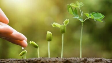 Photo of રાજ્યના છેવાડે આવેલ ડાંગ જિલ્લો પ્રાકૃતિક કૃષિ માટે ખાસ: