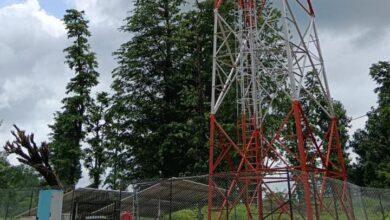 Photo of સાવર કસાડ ગામ ખાતે આવેલ BSNL ટાવર શોભાના ગાંઠીયા સમાન: