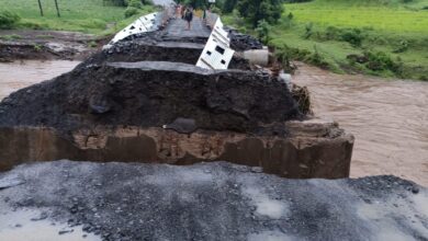 Photo of યાલ-બીતાડાનો પુલ આ ચોમાસામાં ત્રીજી વખત તૂટી જતા અધિકારીઓ માથું ખંજવાળતા થઈ ગયા: