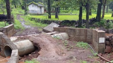 Photo of સુબિર તાલુકાના હાડોળ ગામે બનાવેલ નાળાએ ભ્રષ્ટાચારની પોલ ખોલી: