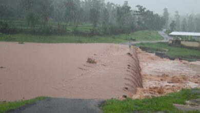 Photo of ડાંગ જિલ્લામાં છેલ્લા ૧૦ કલાકમાં સરેરાશ ૭૫.૬૬ મી.મી વરસાદ નોંધાયો: