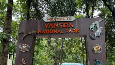 Photo of વાંસદા નેશનલ પાર્કના ચૌશિંગાના શિકાર કેસમાં વધુ ૬ વ્યકિતઓની ધરપકડ