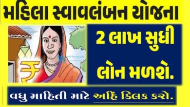 Photo of મહિલા સ્વાવલંબન યોજના’ થકી ગુજરાતની મહિલાઓ બની સ્વાવલંબી