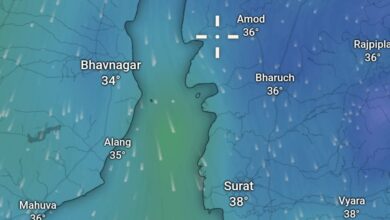 Photo of ગુજરાતના 40 તાલુકાઓમાં કમોસમી વરસાદની આગાહી: ખેડૂતોને પાક બચાવવા અનુરોધ