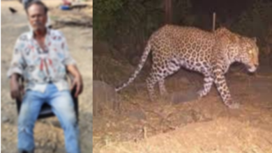 Photo of ખેડૂત ગામીત શંકર ભાઈએ જીવ બચવા દીપડા સાથે ભાથ ભીડી