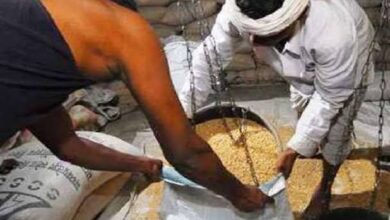 Photo of તાપી જિલ્લામાં રેશનકાર્ડ ધારકો માટે બે મહિનાના અનાજનું એકસાથે વિતરણ