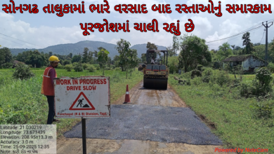 Photo of સોનગઢ તાલુકામાં ભારે વરસાદ બાદ રસ્તાઓનું સમારકામ પૂરજોશમાં ચાલી રહ્યું છે